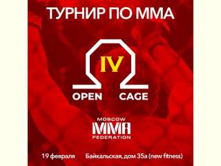 Турнир ММА Open Cage IV